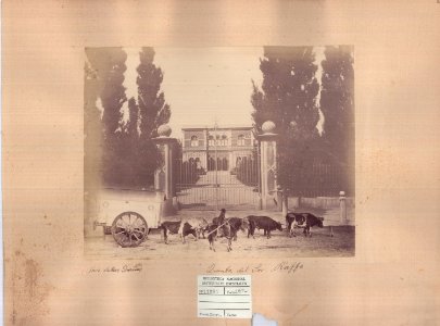 ABN 11091