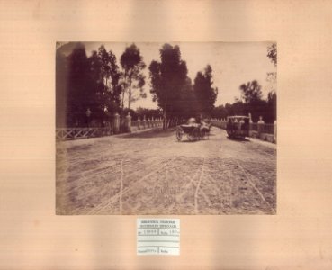 ABN 11099