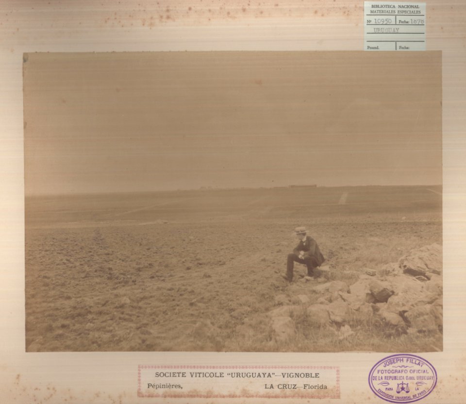 ABN 10950