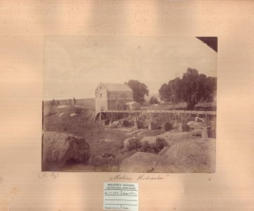 ABN 11102