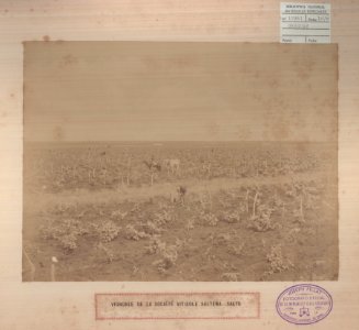 ABN 10961