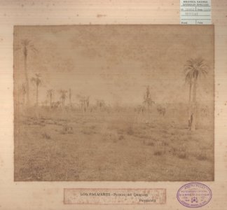 ABN 10962