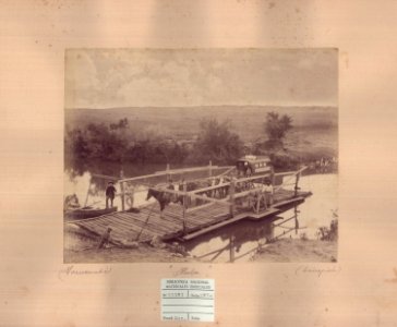 ABN 11101