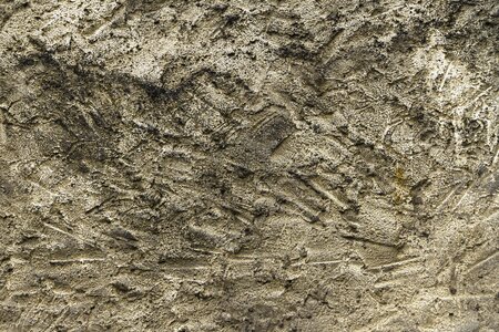 Plaster coarse grunge