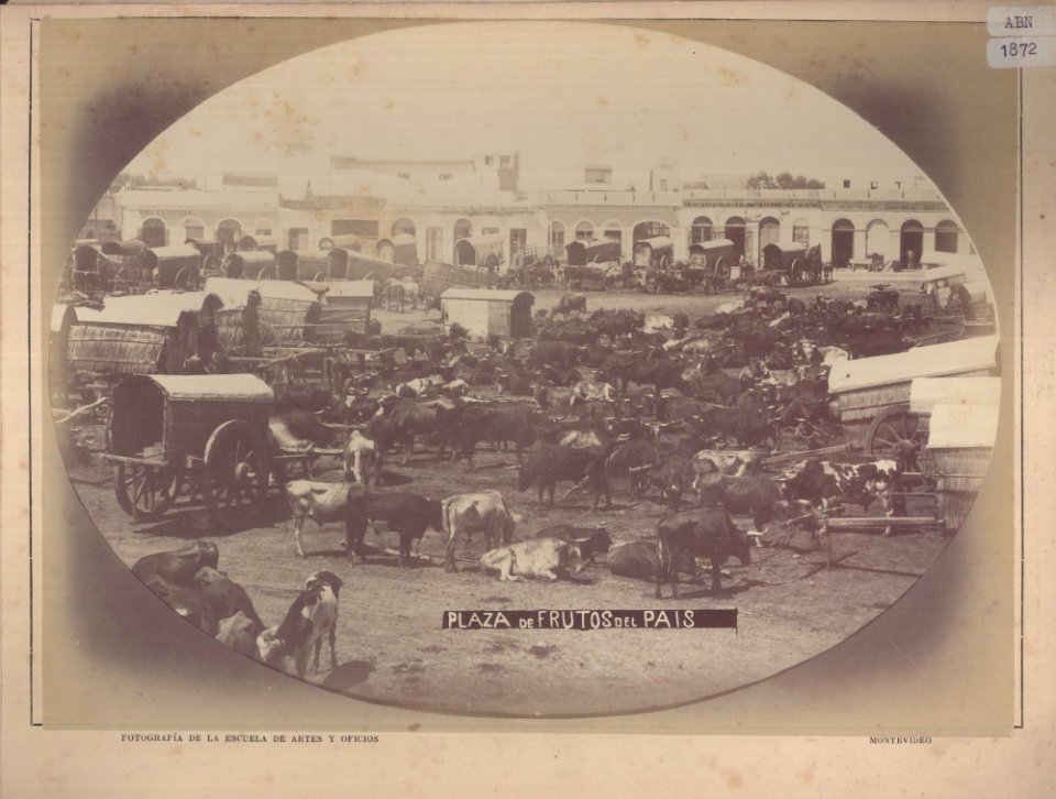 ABN 1872