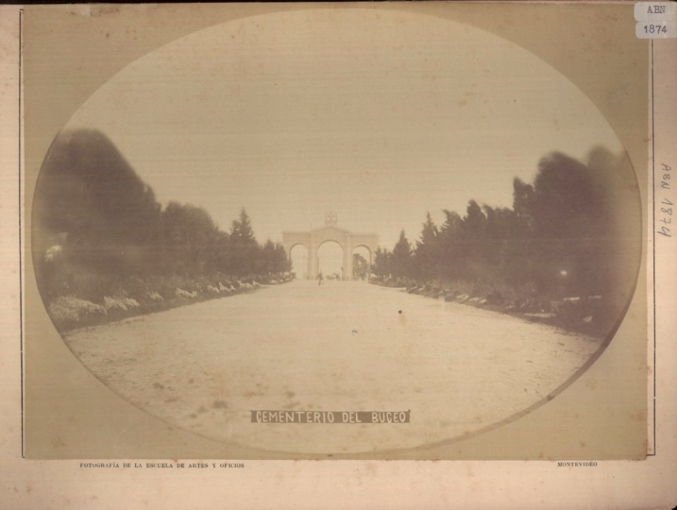 ABN 1874