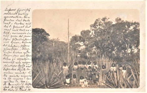 Aboriginal women and children at the Hope Valley Mission, North Queensland - circa 1907