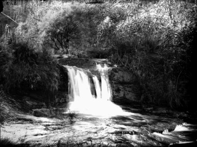 Above Leura Falls, Katoomba
