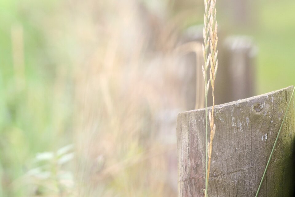 Landscape grid straw
