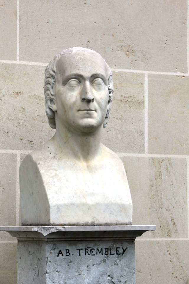 Abraham Trembley-jardin botanique-IMG 0131