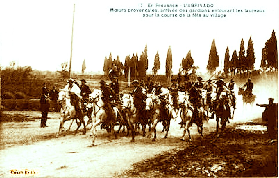 Abrivado à Saint-Gilles-du-Gard