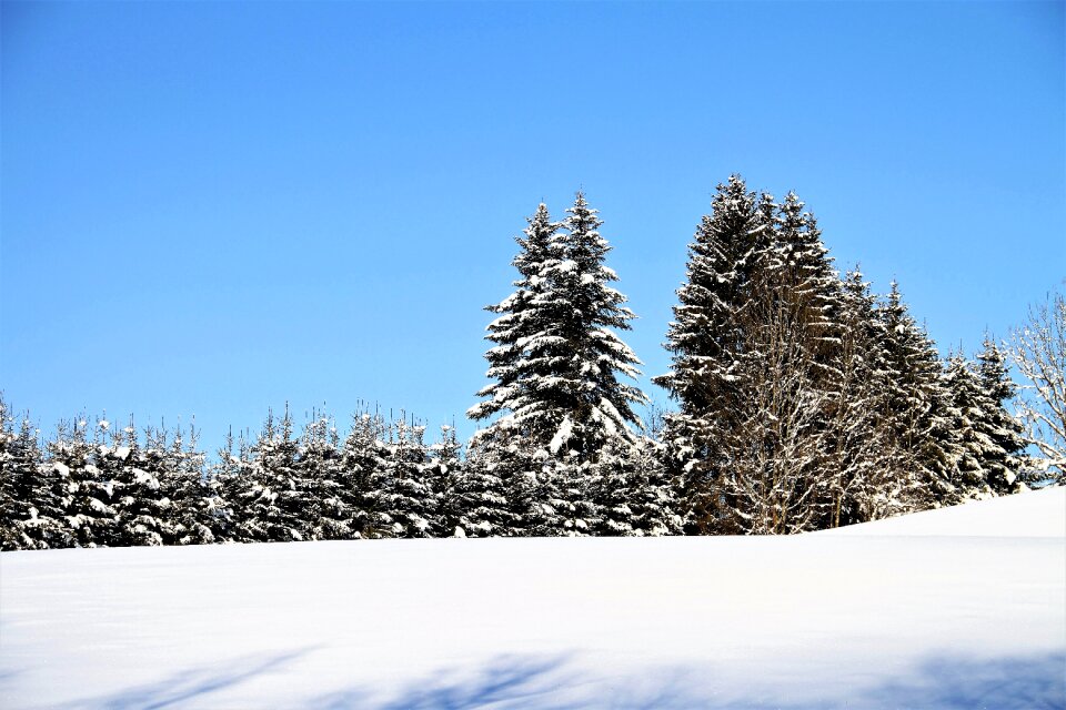 Landscape wintry cold photo