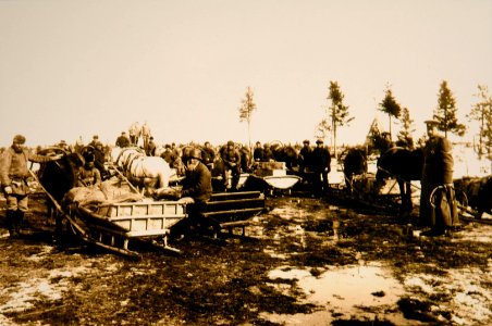 Abtransport der Geschosse vom Hafen an der Eisenbahnstation Soroka beim Bau der Murmanbahn 1916