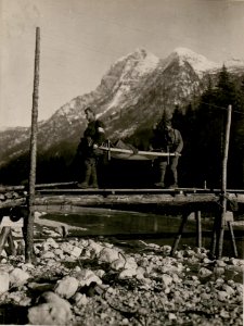 Abtransport der Verwundeten im Seebachtal.(J.R.7.) (BildID 15506674)