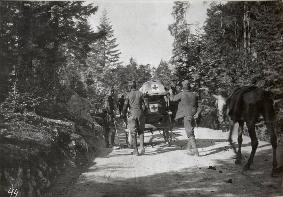 Abtransport Schwerverwundeter im Ternovanerwalde. 2.9.17. (BildID 15601912)