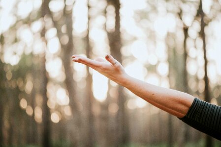 Arm nature blur