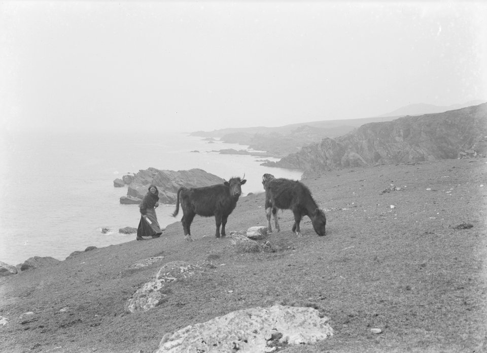 Achill Island (6266263777)
