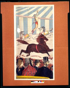 Acrobats on horseback LCCN2002719032