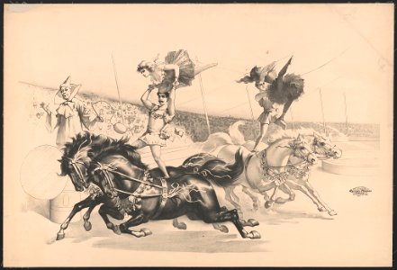 Acrobats on horseback LCCN2018647635