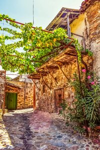Street house architecture