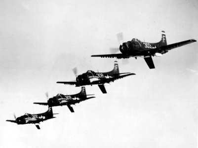 AD-1 Skyraiders VA-3B in flight 1948
