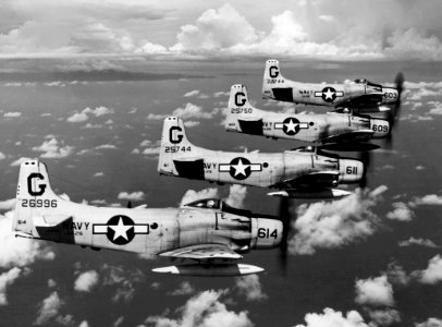 AD-4NAs VA-216 in flight 1956