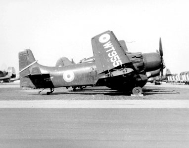 AD-4W Royal Navy NAS Norfolk 1953