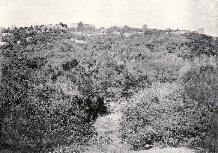 Ad111