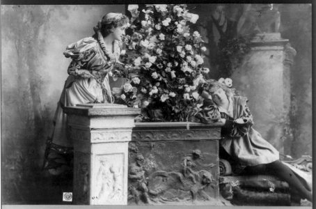 Ada Rehan, 1860-1915 LCCN2004676402