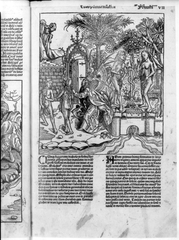 Adam and Eve in Garden LCCN2003663559