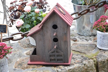 Birds manger bird feeder