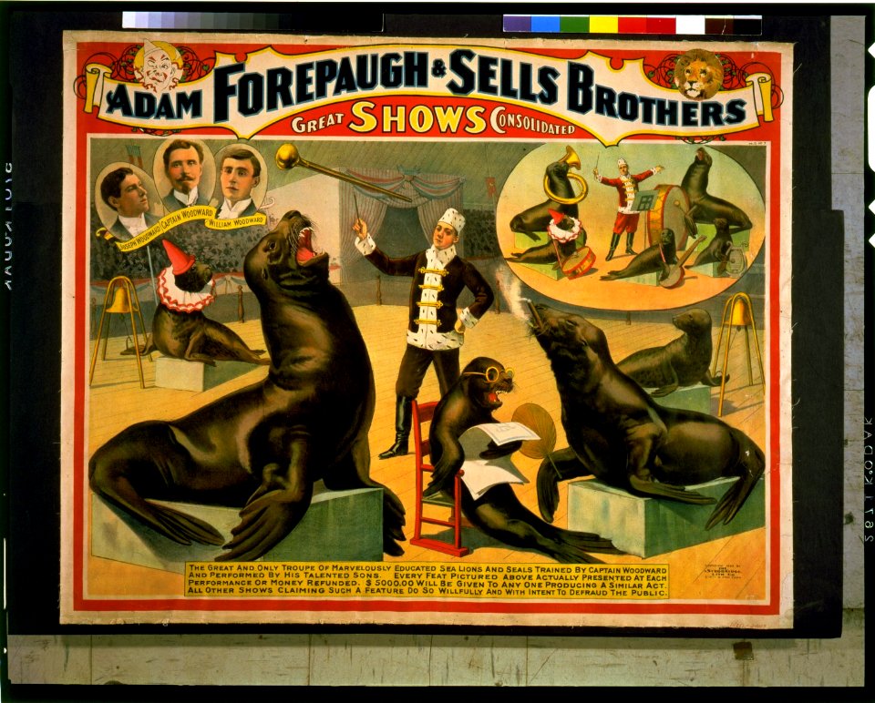 Adam Forepaugh & Sells Brothers great shows consolidated LCCN97501151