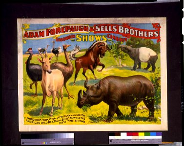 Adam Forepaugh & Sells Brothers enormous shows combined. Wondrous Sumatra, African and South-American wild beasts and birds, ... LCCN94507619