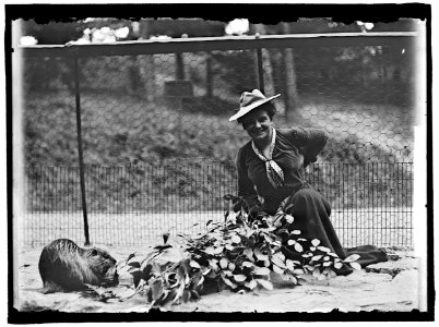 ADAMS, MRS. FRANKLIN, NEE HARRIET CHALMERS AT ZOO LCCN2016863765
