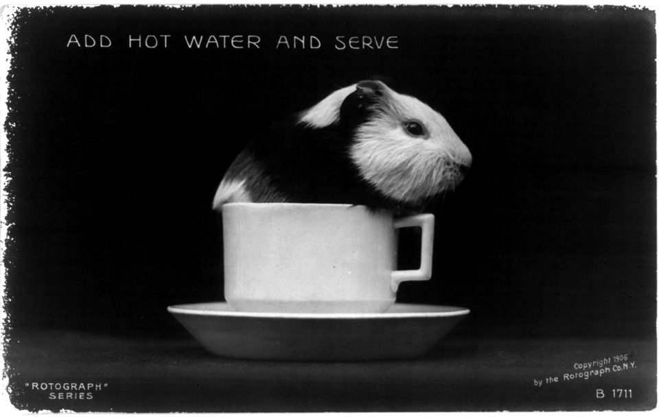Add hot water and serve LCCN2003654716