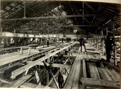 Adaptierung der gedeckten Reitschule in Seebach zur Unterkunft für 3000 Mann. Herstellung der Zimmerarbeiten im Innern der Reitschule. Aufgenommen am 21. Juli 1916. (BildID 15477870)