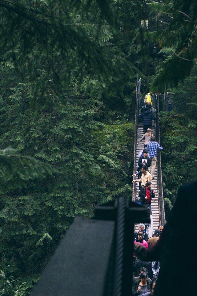 Forest metal stairs