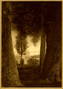 Adelaide Hanscom Sonnets from the Portuguese 001