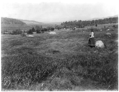 Adirondack Mountains, N.Y.)- Valley of the Hudson from Tahawus LCCN2003678338