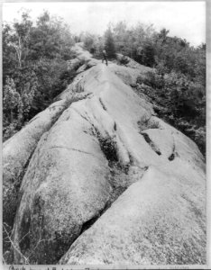 Adirondack Mountains, N.Y.)- Backbone of Bald Mountain LCCN2003678339