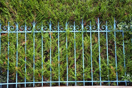 Closing iron foliage