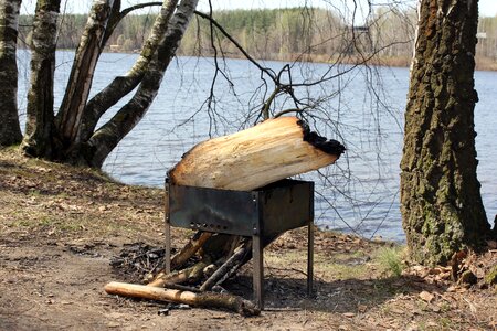 Mangal trees russia