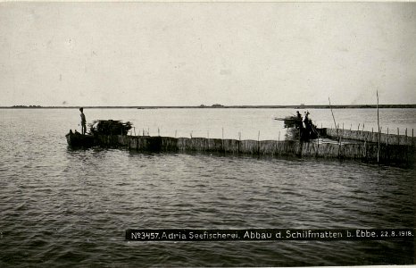 Adria Seefischerei. Abbau der Schilfmatten bei Ebbe. (BildID 15623383)