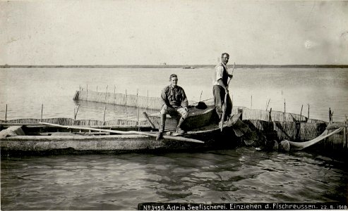 Adria Seefischerei. Einziehen der Fischreusen. (BildID 15623376)