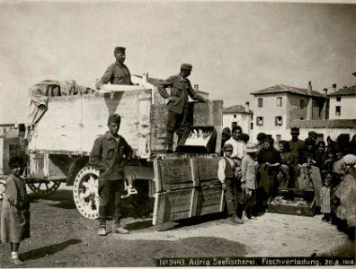 Adria Seefischerei. Fischverladung. 20.8.1918. (BildID 15622205)