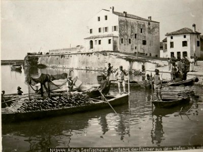 Adria Seefischerei. Ausfahrt der Fischer aus dem Hafen.20.8.1918. (BildID 15622212)