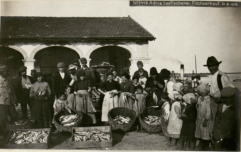 Adria Seefischerei. Fischverkauf. (BildID 15623327)