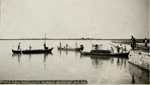 Adria Seefischerei. Ausfahrt der Fischer. (BildID 15623306)