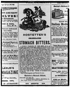 Advertisement for Hostetter's celebrated stomach bitters, showing man on horse using spear to kill serpent LCCN98502196