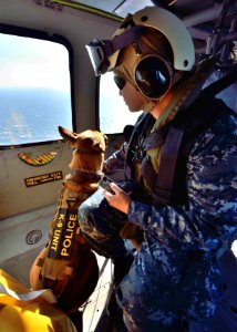 Aerial training exercise for K-9 units 131118-N-OX321-157